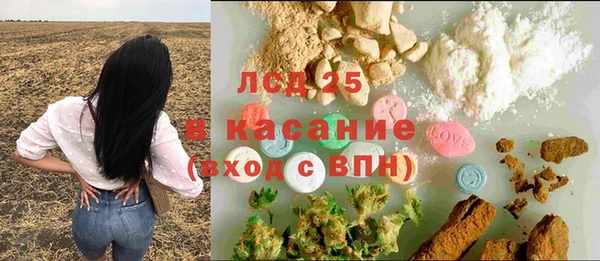 стафф Аркадак