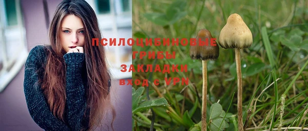 стафф Аркадак
