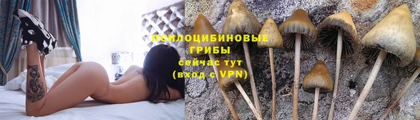 альфа пвп Армянск
