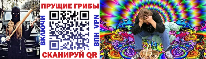 Псилоцибиновые грибы мухоморы  что такое   Зея 